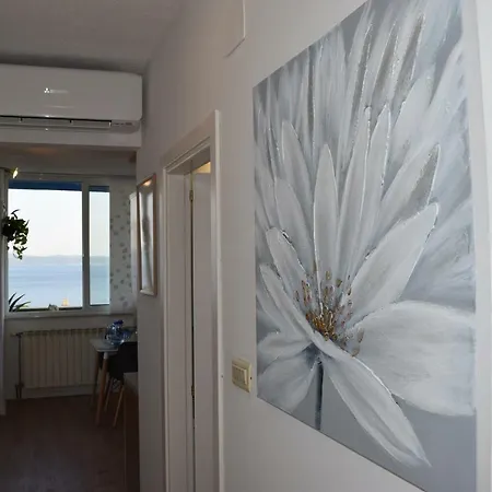 Lux Katija * Split